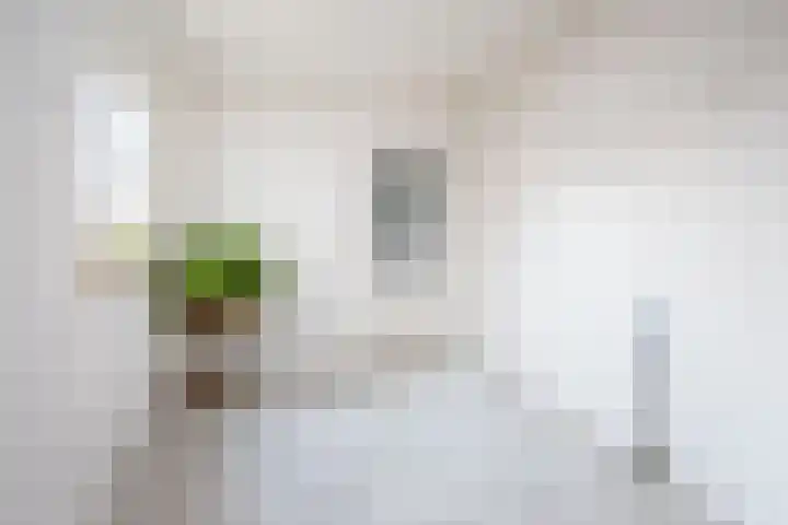 Vinkenstraat 8 Ulft thumbnail 16