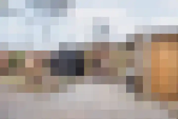 Vinkenstraat 8 Ulft thumbnail 35