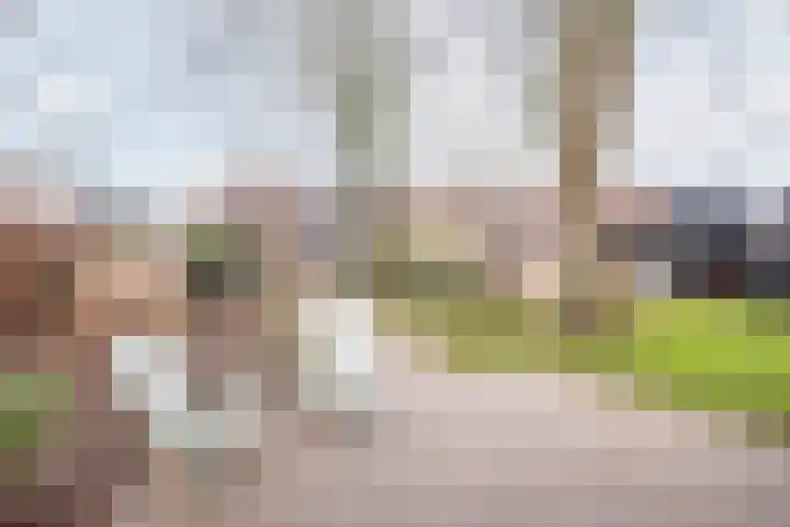 Vinkenstraat 8 Ulft thumbnail 36
