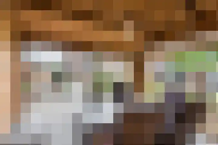 Vinkenstraat 8 Ulft thumbnail 39