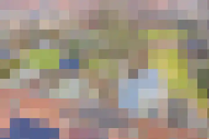 Vinkenstraat 8 Ulft thumbnail 4
