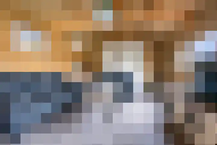 Vinkenstraat 8 Ulft thumbnail 40