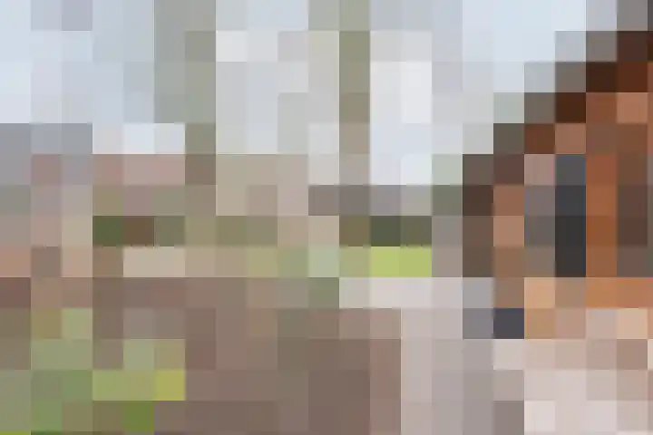 Vinkenstraat 8 Ulft thumbnail 42