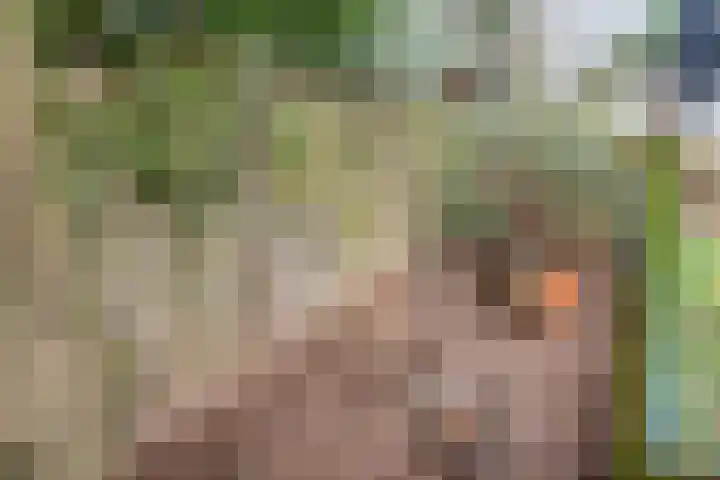 Vinkenstraat 8 Ulft thumbnail 45