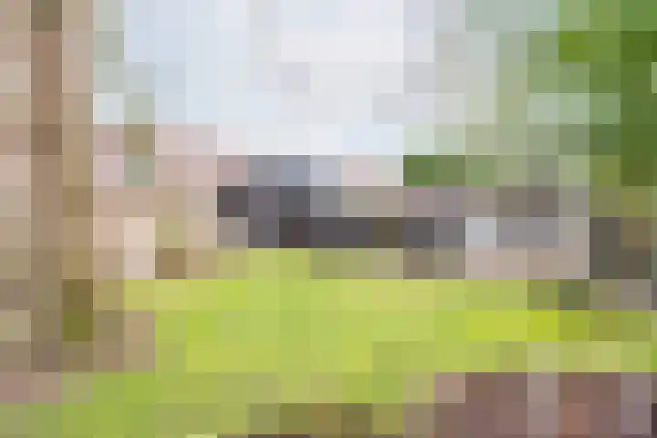 Vinkenstraat 8 Ulft thumbnail 47