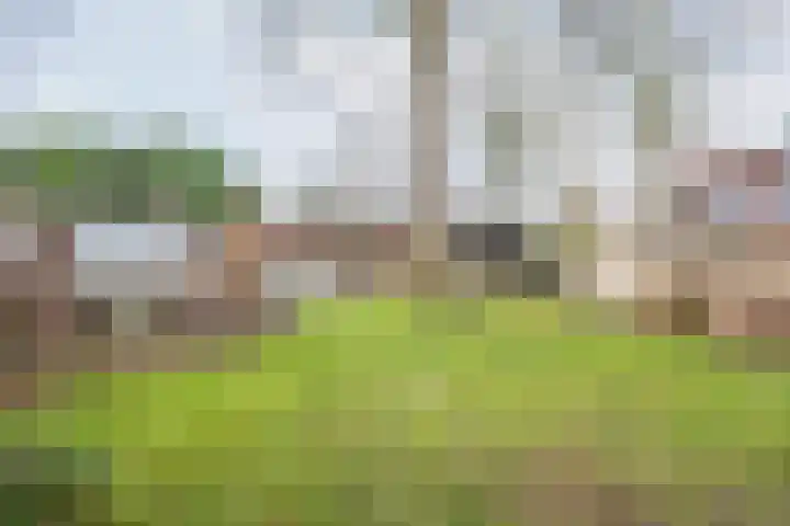Vinkenstraat 8 Ulft thumbnail 48