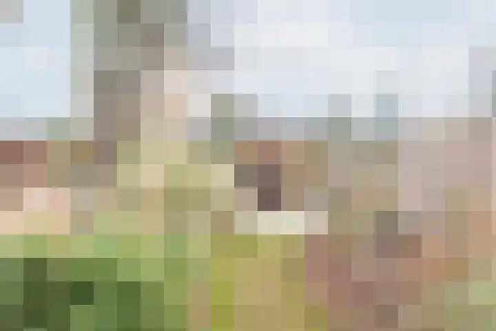Vinkenstraat 8 Ulft thumbnail 51