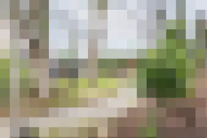 Vinkenstraat 8 Ulft thumbnail 52
