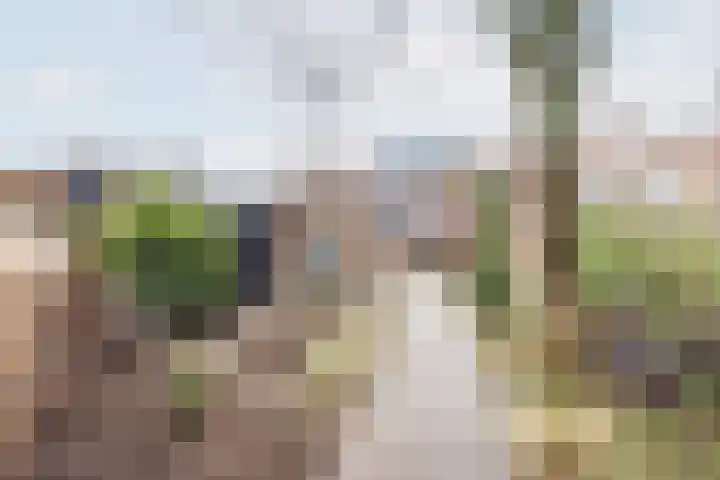 Vinkenstraat 8 Ulft thumbnail 53