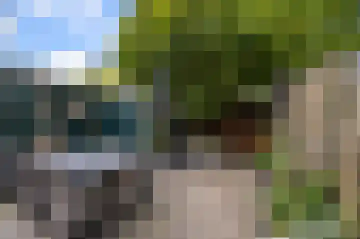 Vinkenstraat 98 Zaandam thumbnail 37