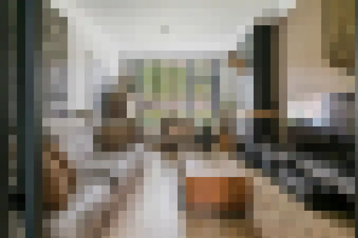 Vinkenstraatje 22 Tiel thumbnail 10