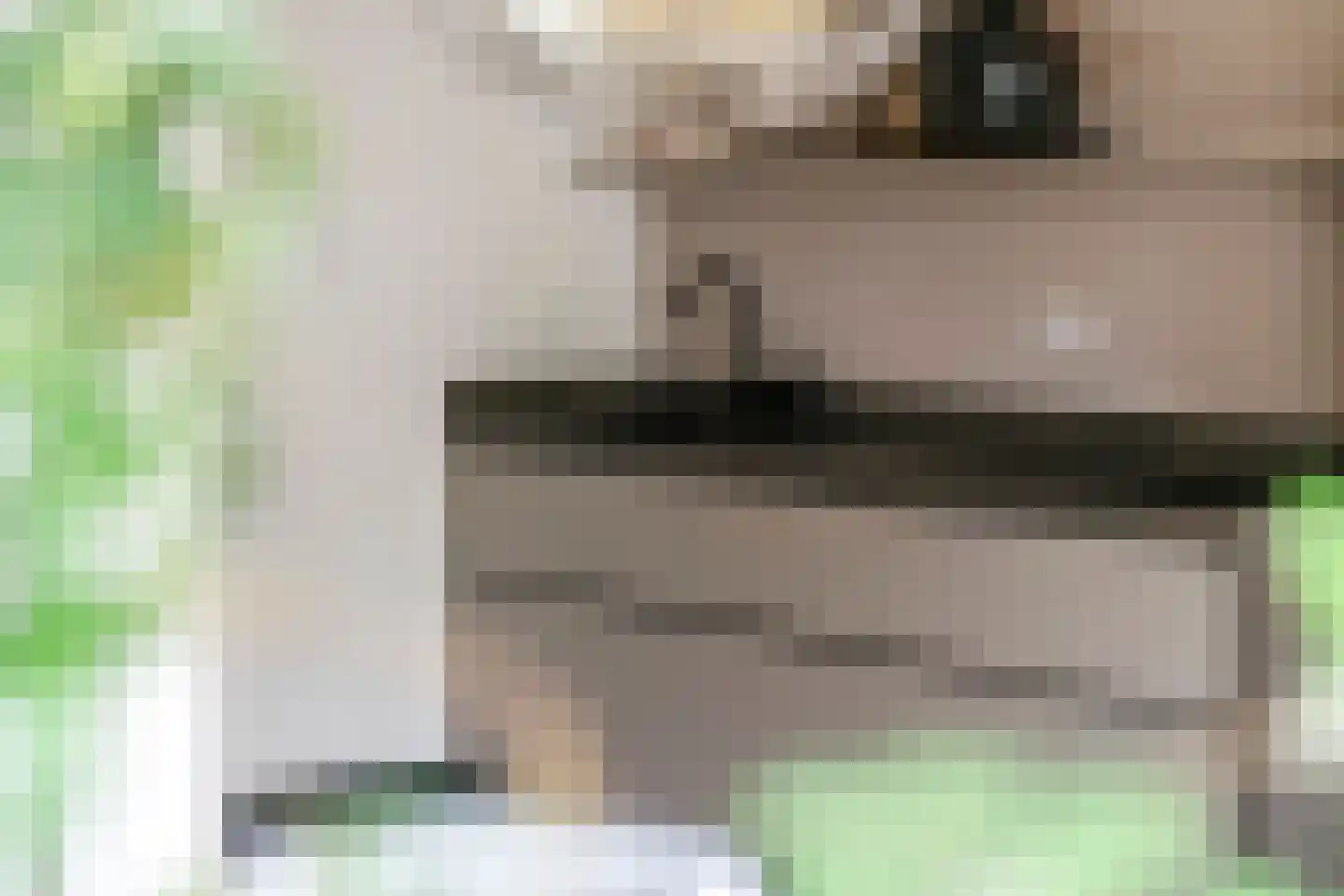 Vinkenstraatje 22 Tiel thumbnail 16