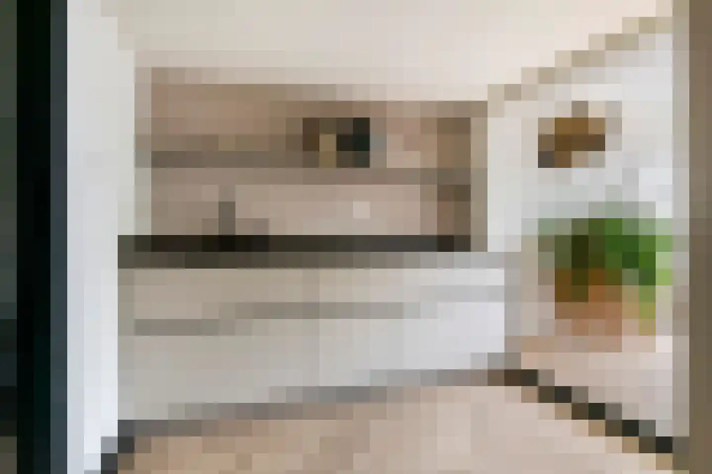 Vinkenstraatje 22 Tiel thumbnail 18