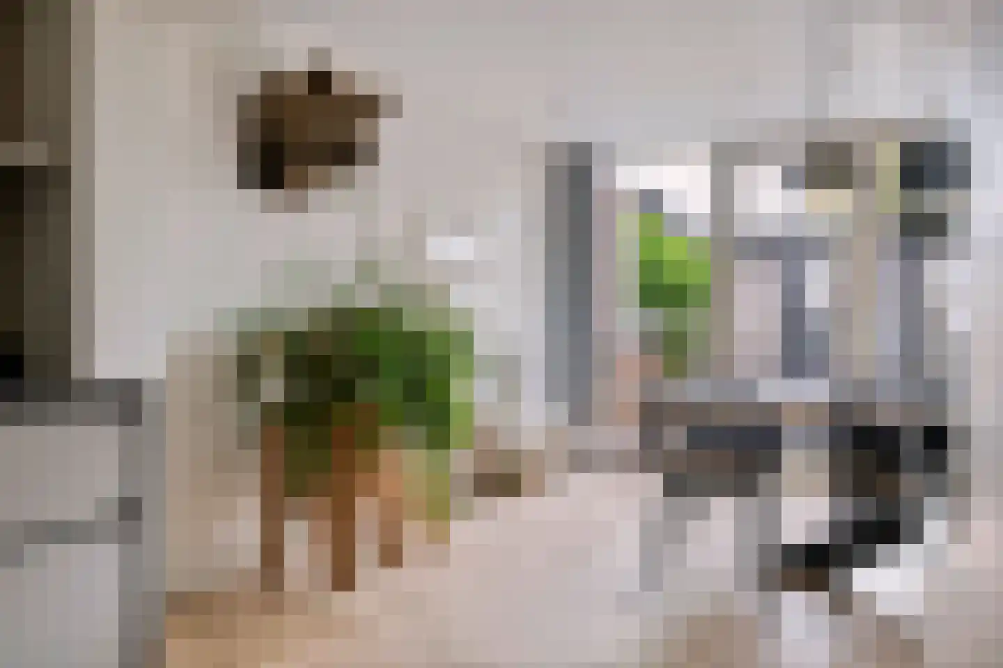 Vinkenstraatje 22 Tiel thumbnail 20
