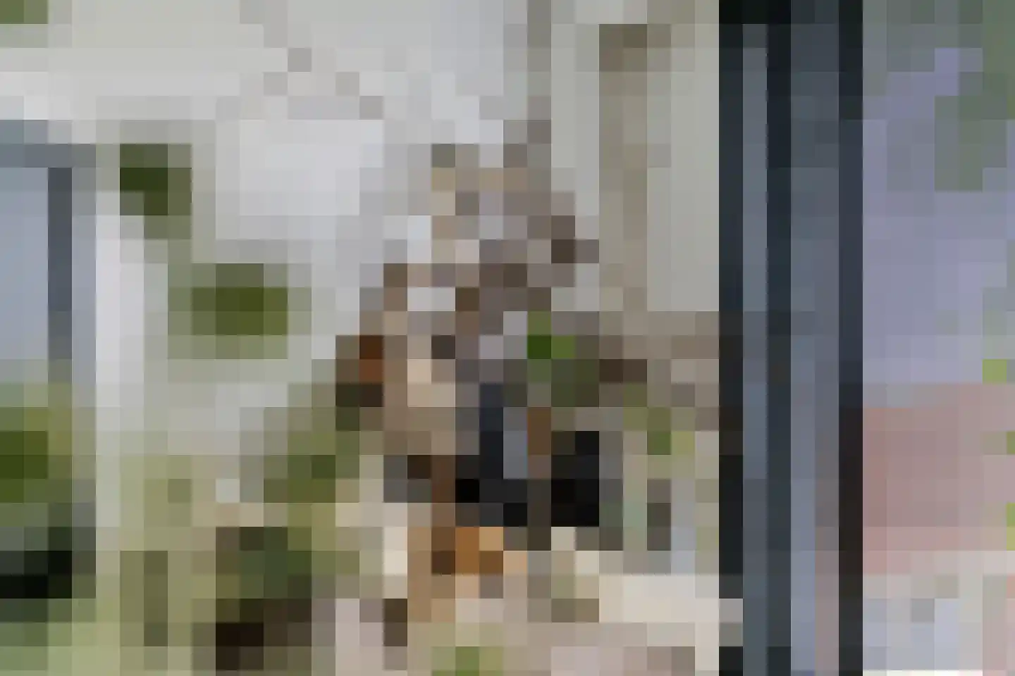 Vinkenstraatje 22 Tiel thumbnail 21