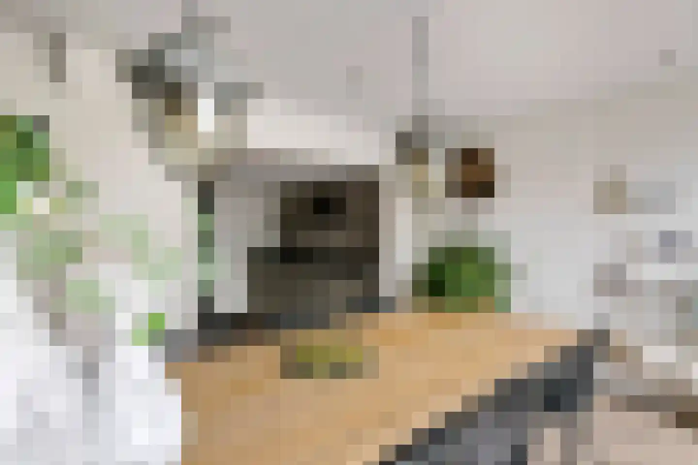 Vinkenstraatje 22 Tiel thumbnail 23