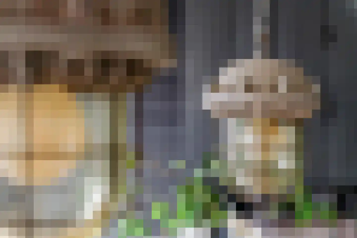 Vinkenstraatje 22 Tiel thumbnail 25