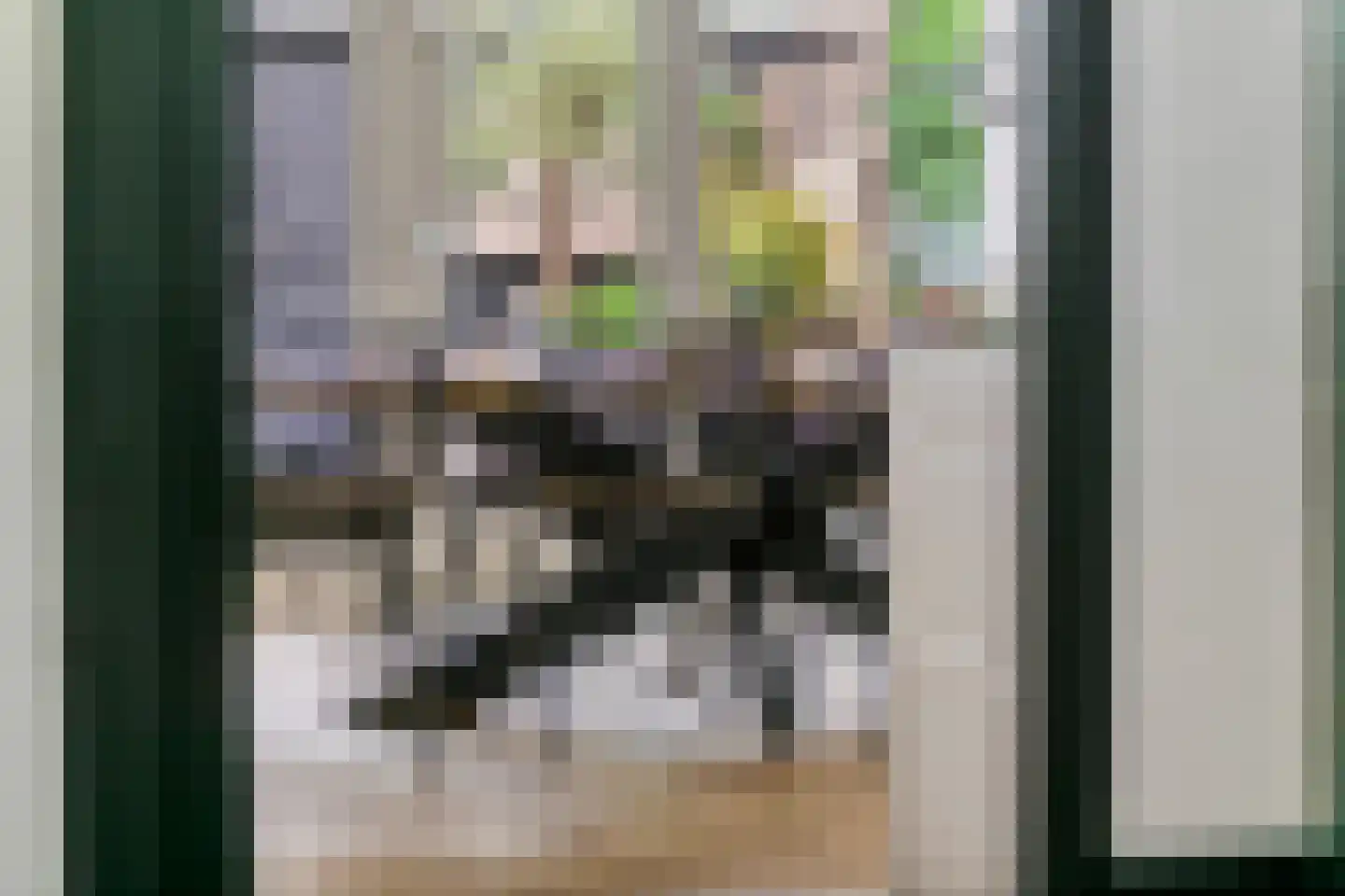 Vinkenstraatje 22 Tiel thumbnail 26