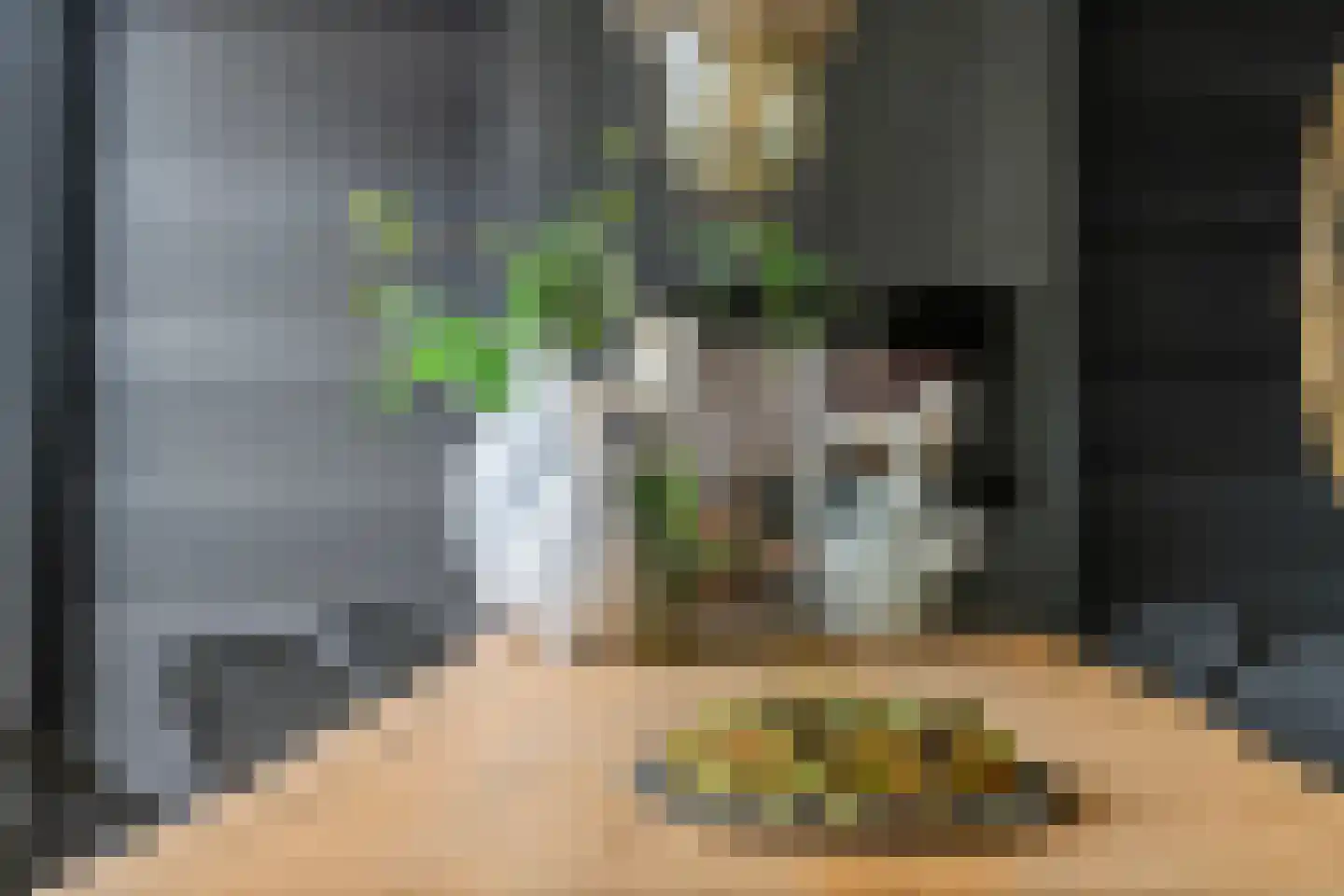 Vinkenstraatje 22 Tiel thumbnail 27