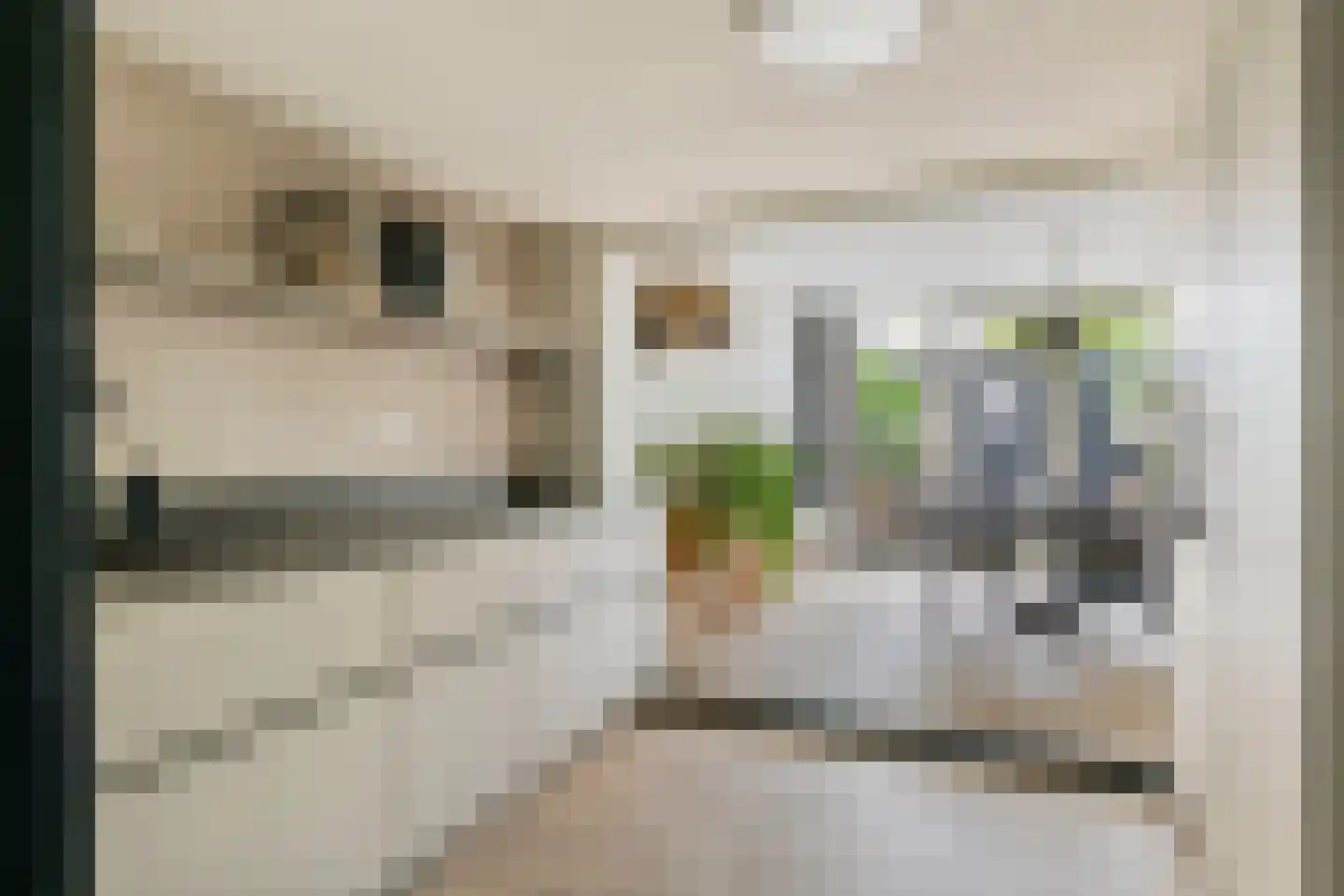Vinkenstraatje 22 Tiel thumbnail 4