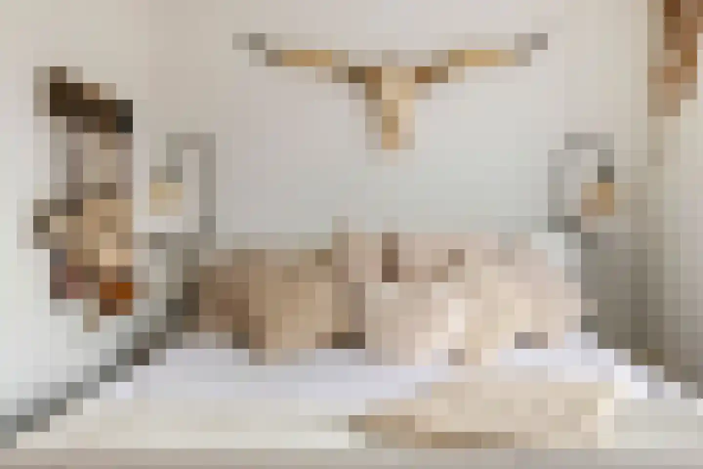 Vinkenstraatje 22 Tiel thumbnail 42
