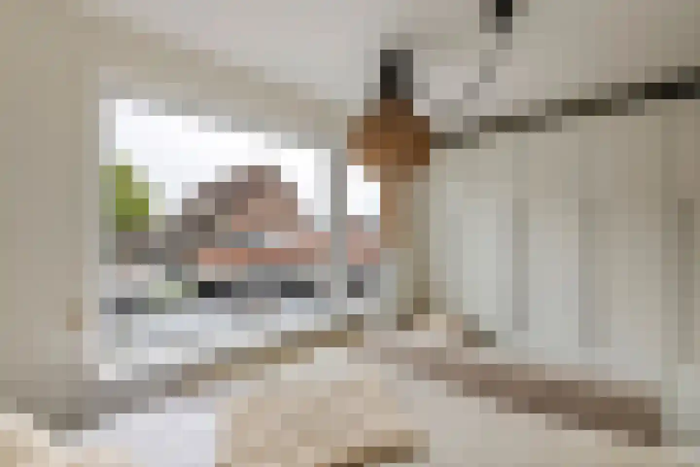 Vinkenstraatje 22 Tiel thumbnail 43