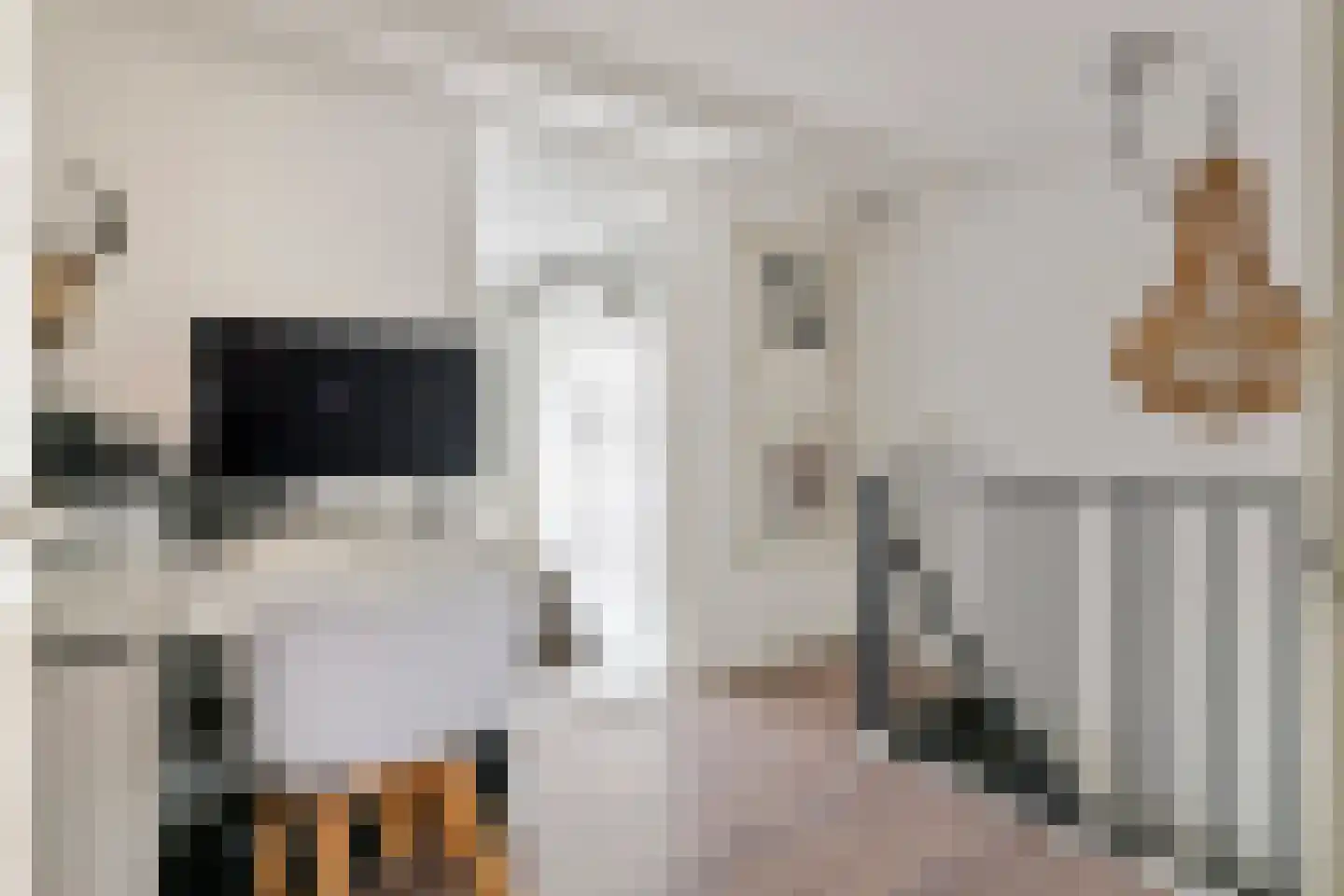 Vinkenstraatje 22 Tiel thumbnail 48