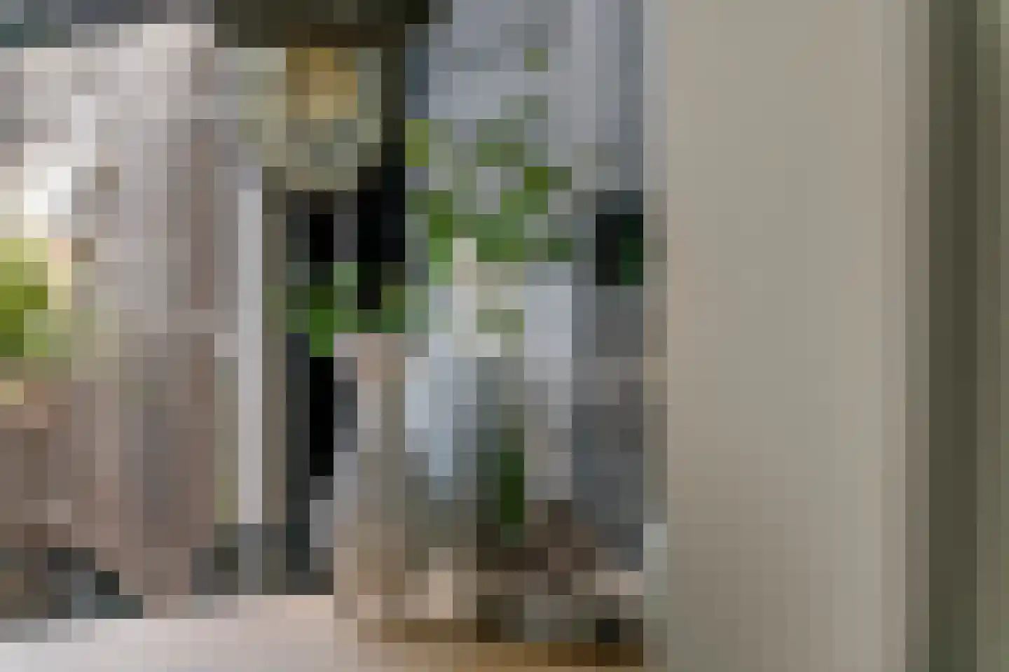 Vinkenstraatje 22 Tiel thumbnail 6
