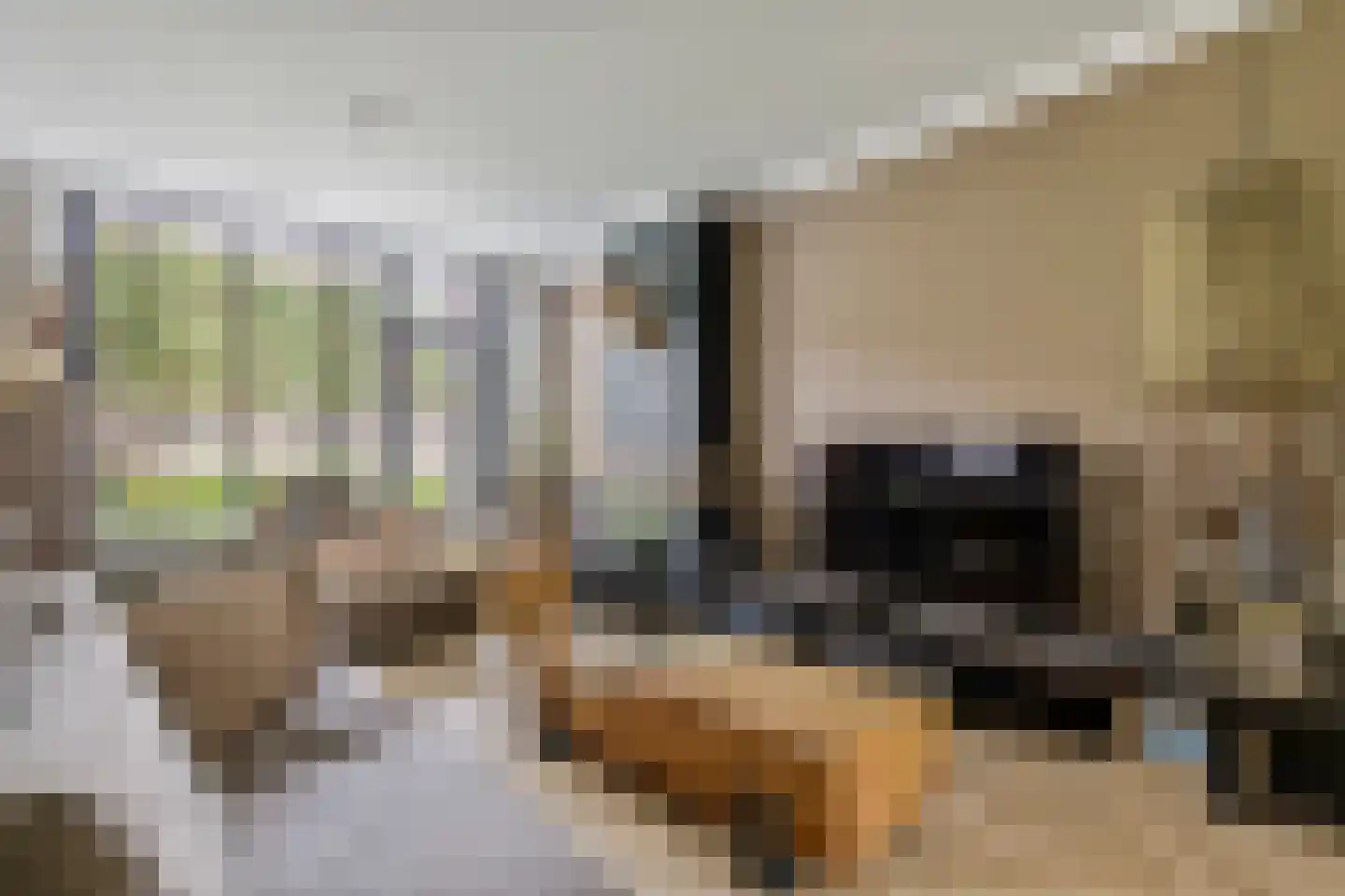 Vinkenstraatje 22 Tiel thumbnail 9