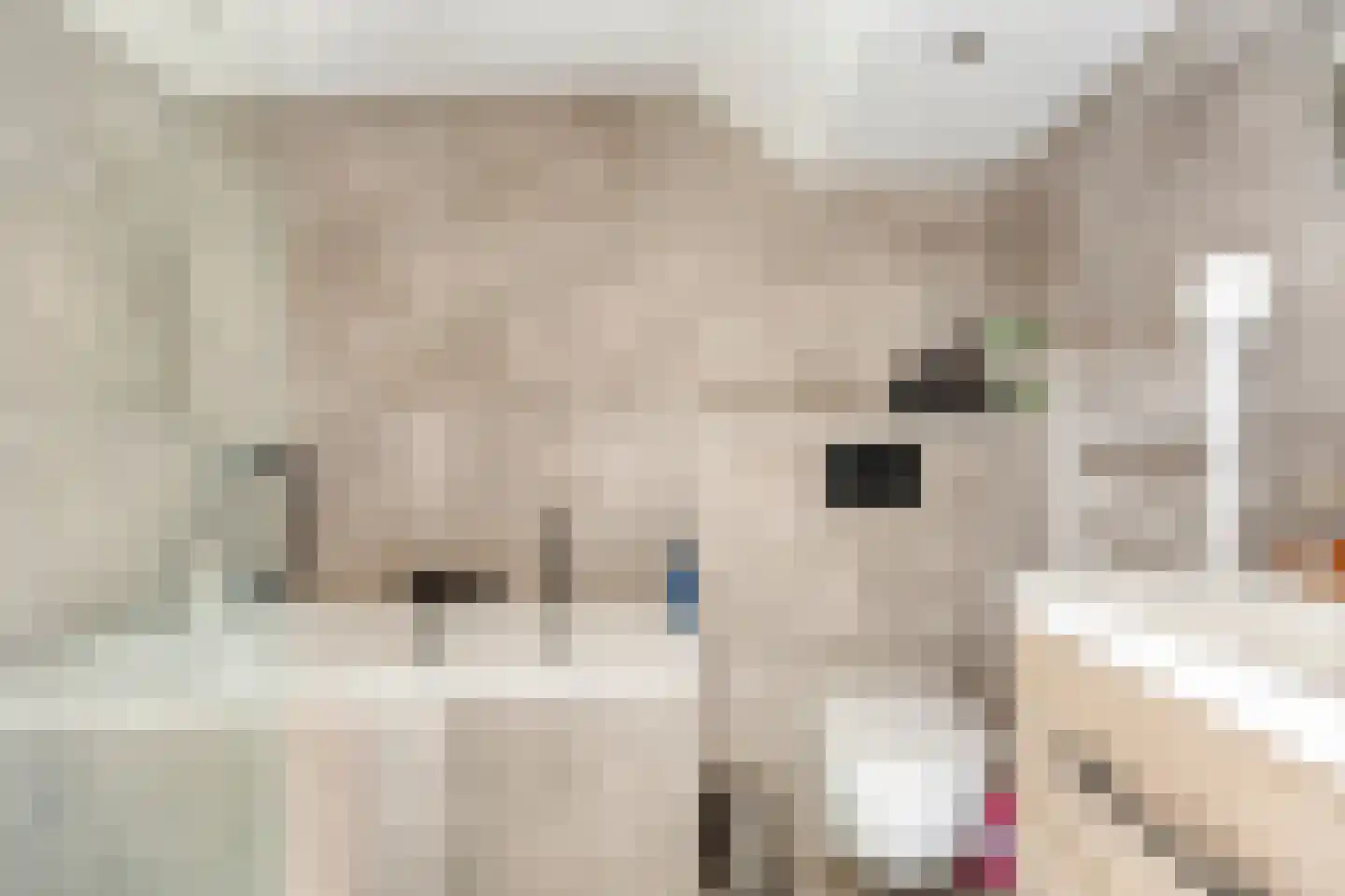 Vinkenstraatje 32 Tiel thumbnail 18