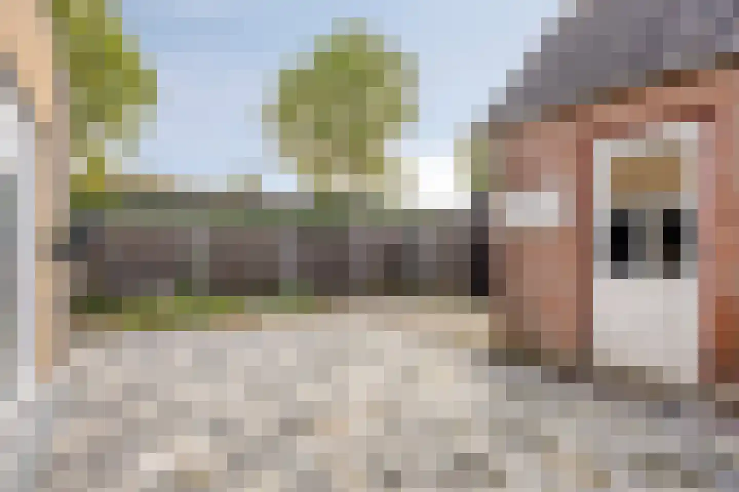 Vinkenstraatje 32 Tiel thumbnail 24
