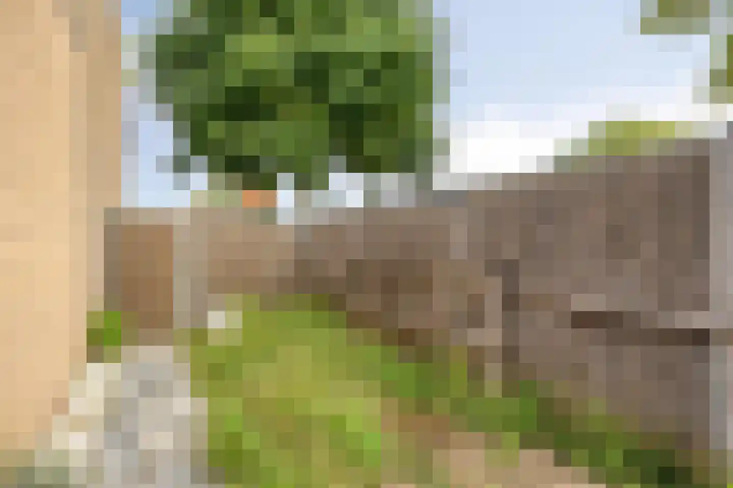 Vinkenstraatje 32 Tiel thumbnail 25