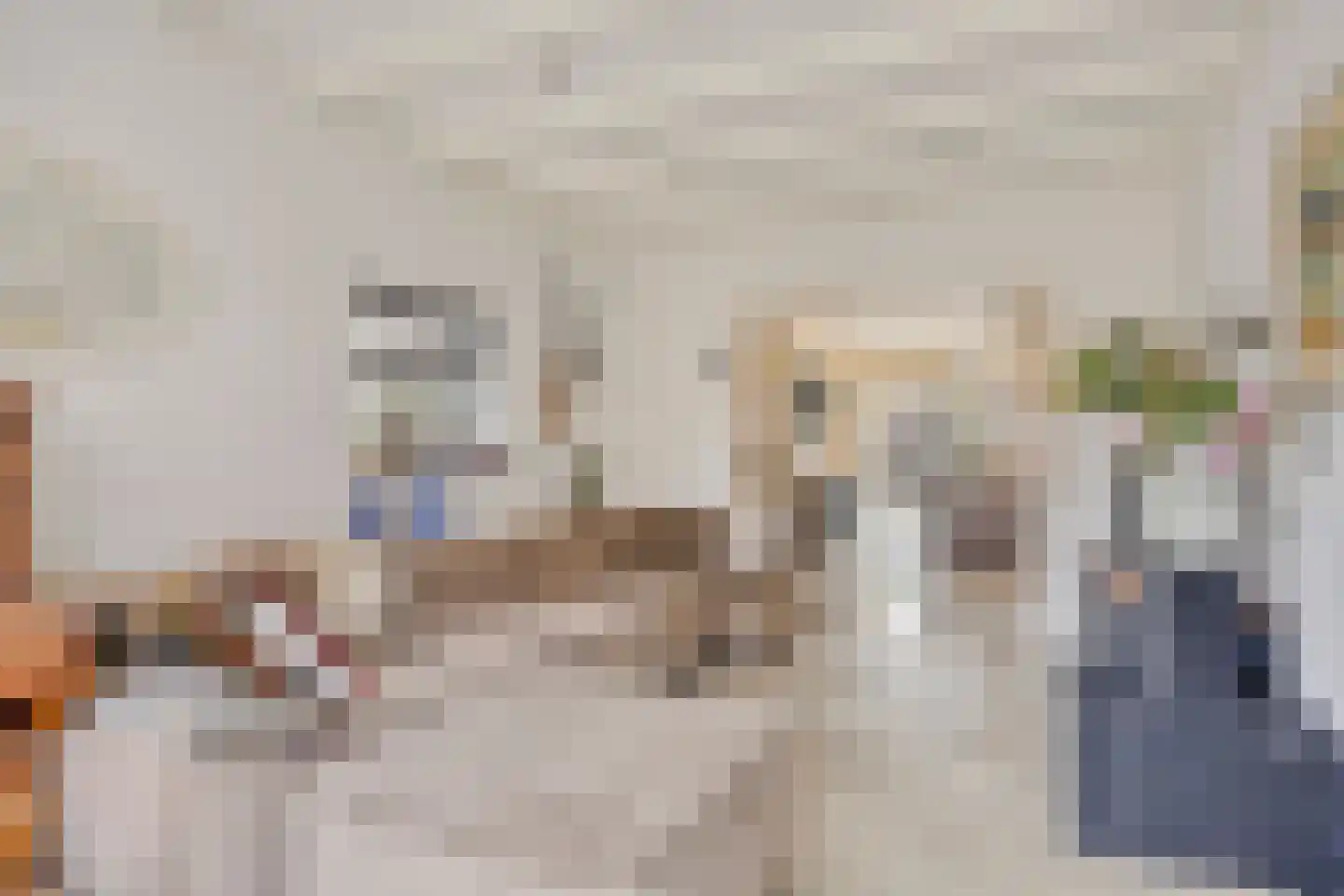 Vinkenstraatje 32 Tiel thumbnail 8