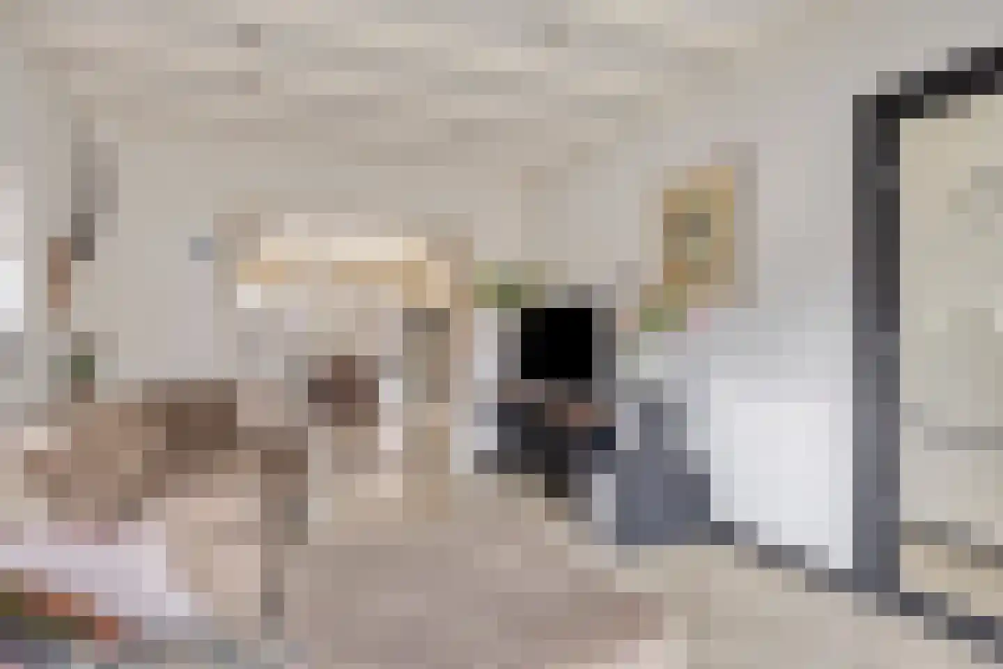 Vinkenstraatje 32 Tiel thumbnail 9