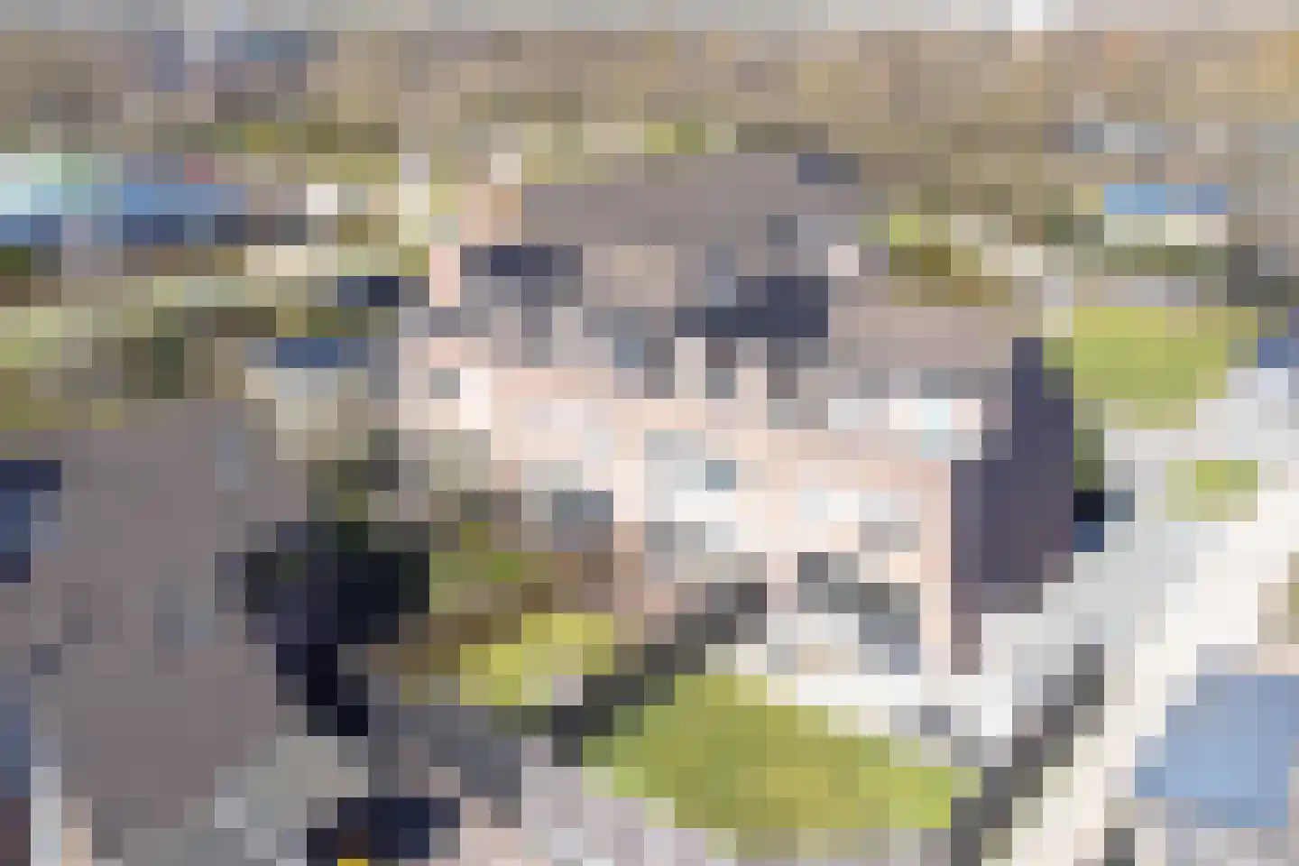 Vinkenveld 10 Emmen thumbnail 83