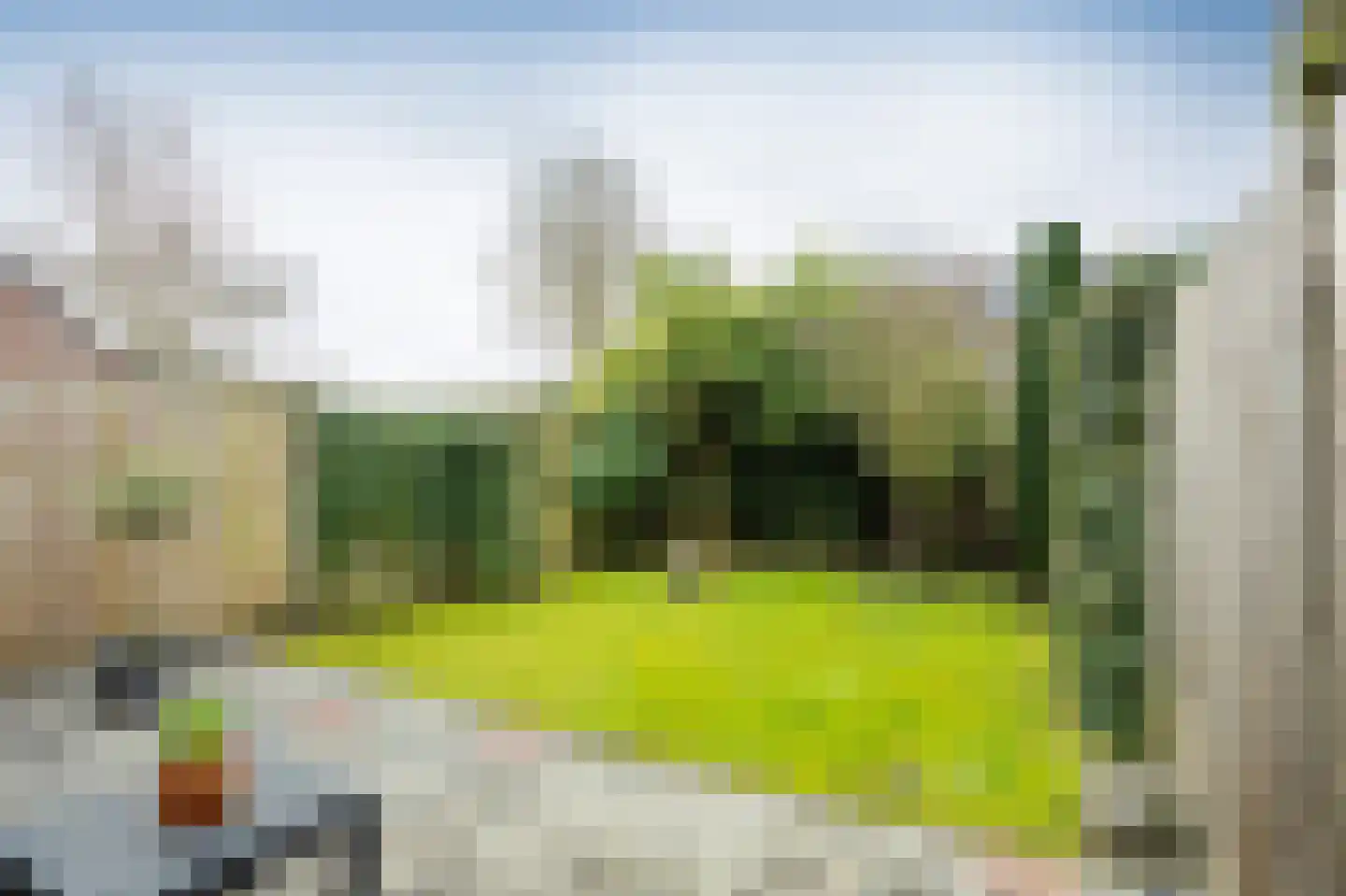 Vinkenveld 32 Emmen thumbnail 25