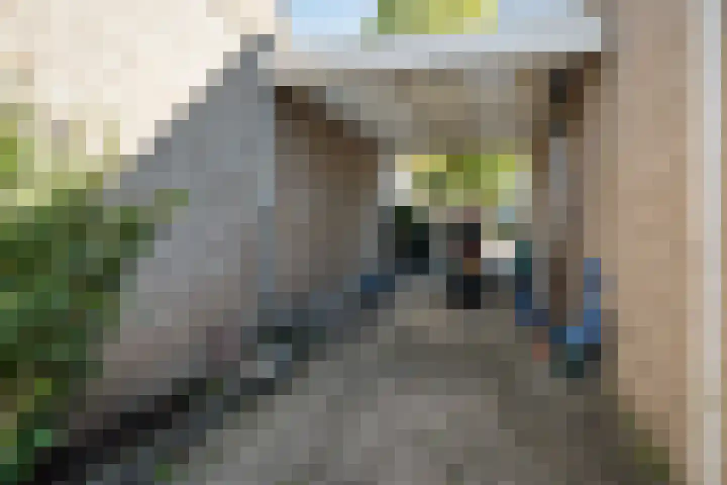 Vinkenveld 53 Emmen thumbnail 33