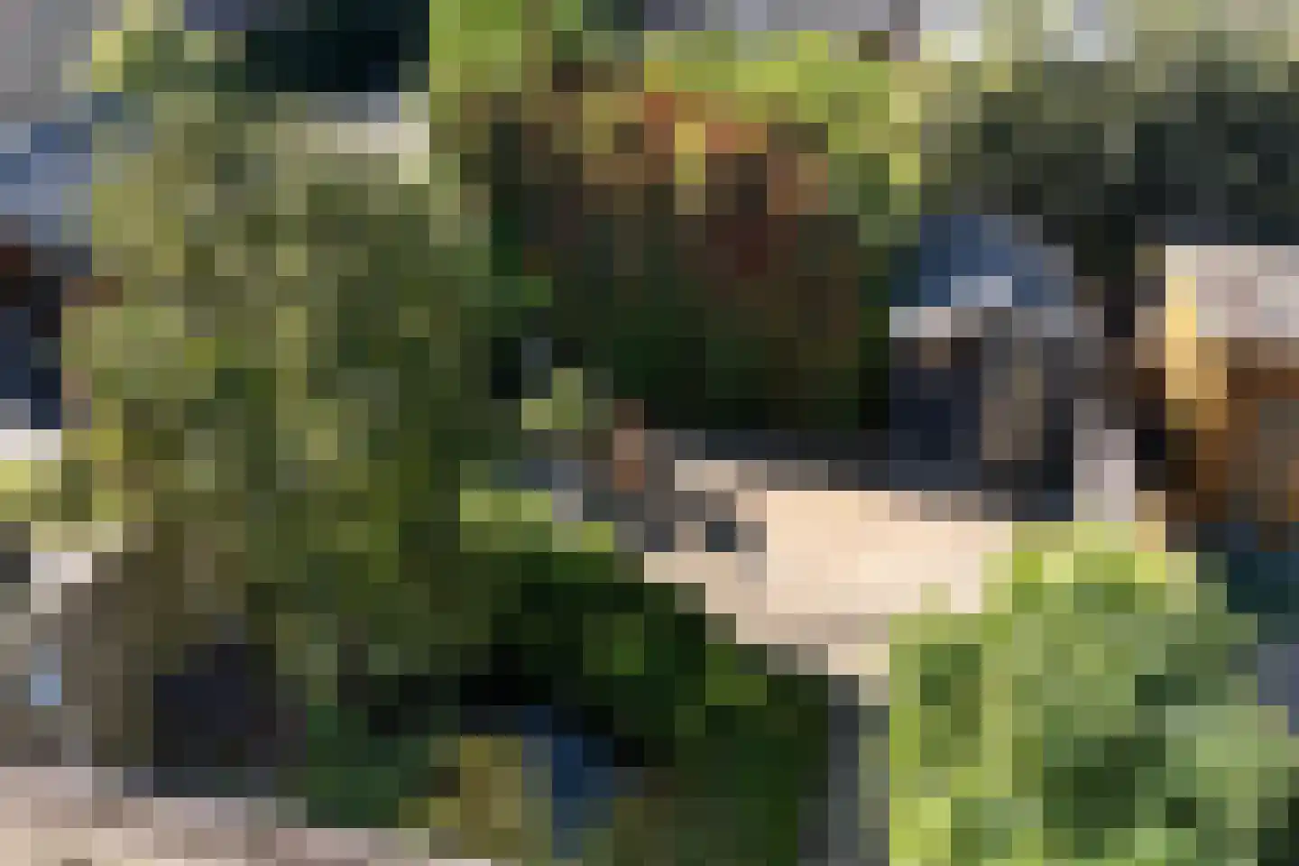 Vinkenveld 53 Emmen thumbnail 37