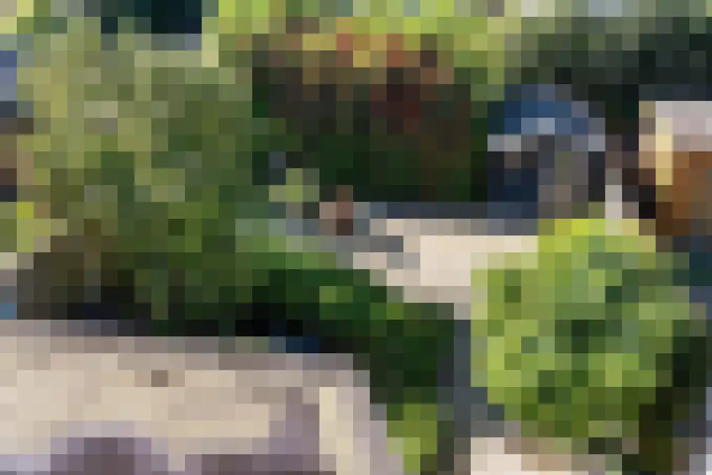 Vinkenveld 53 Emmen thumbnail 38