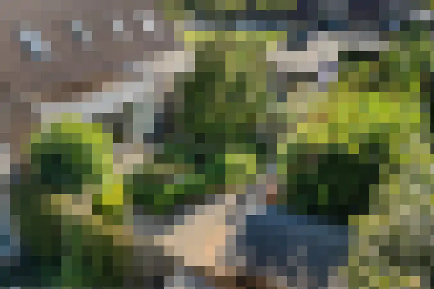 Vinkenveld 53 Emmen thumbnail 39