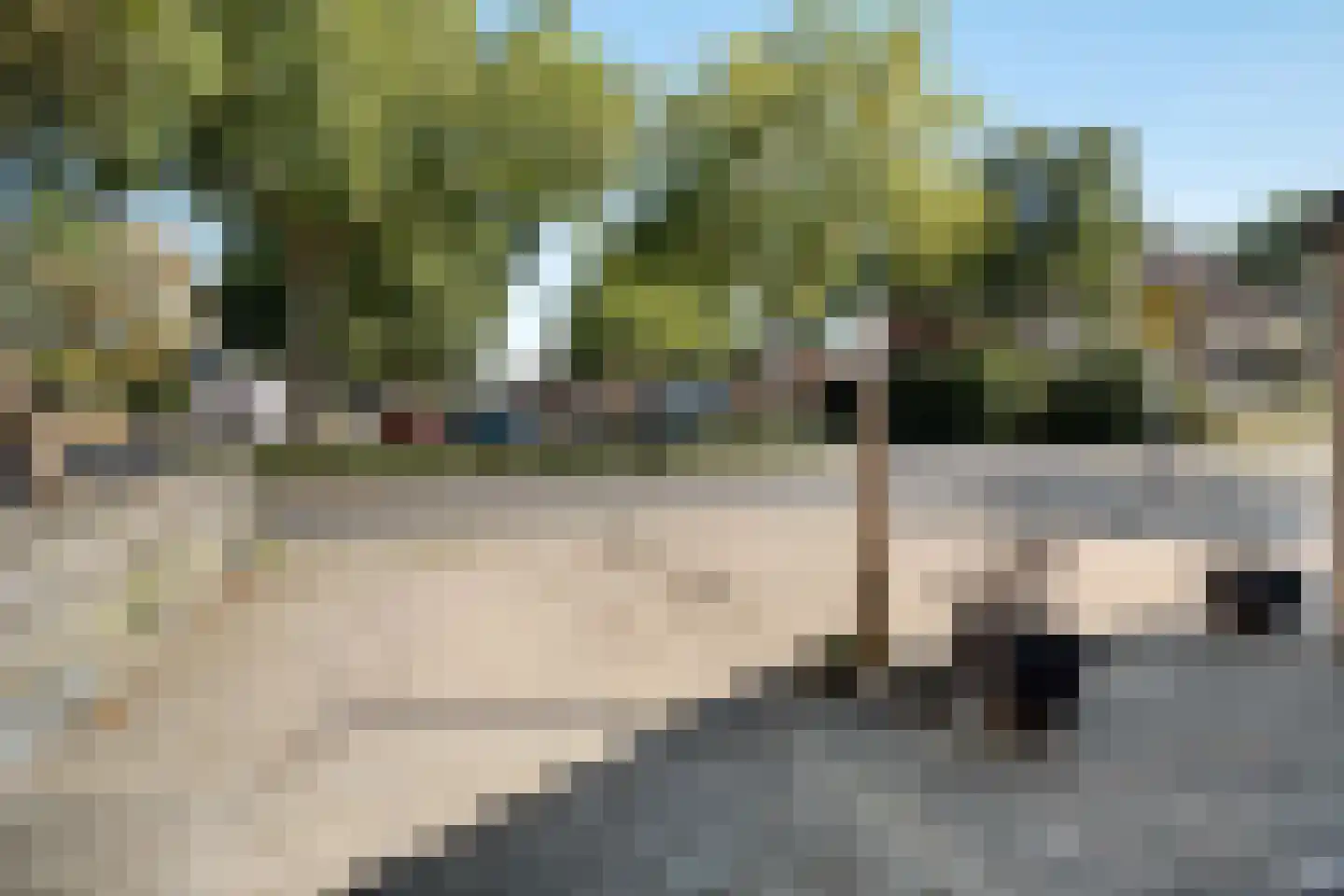 Vinkenveld 53 Emmen thumbnail 43