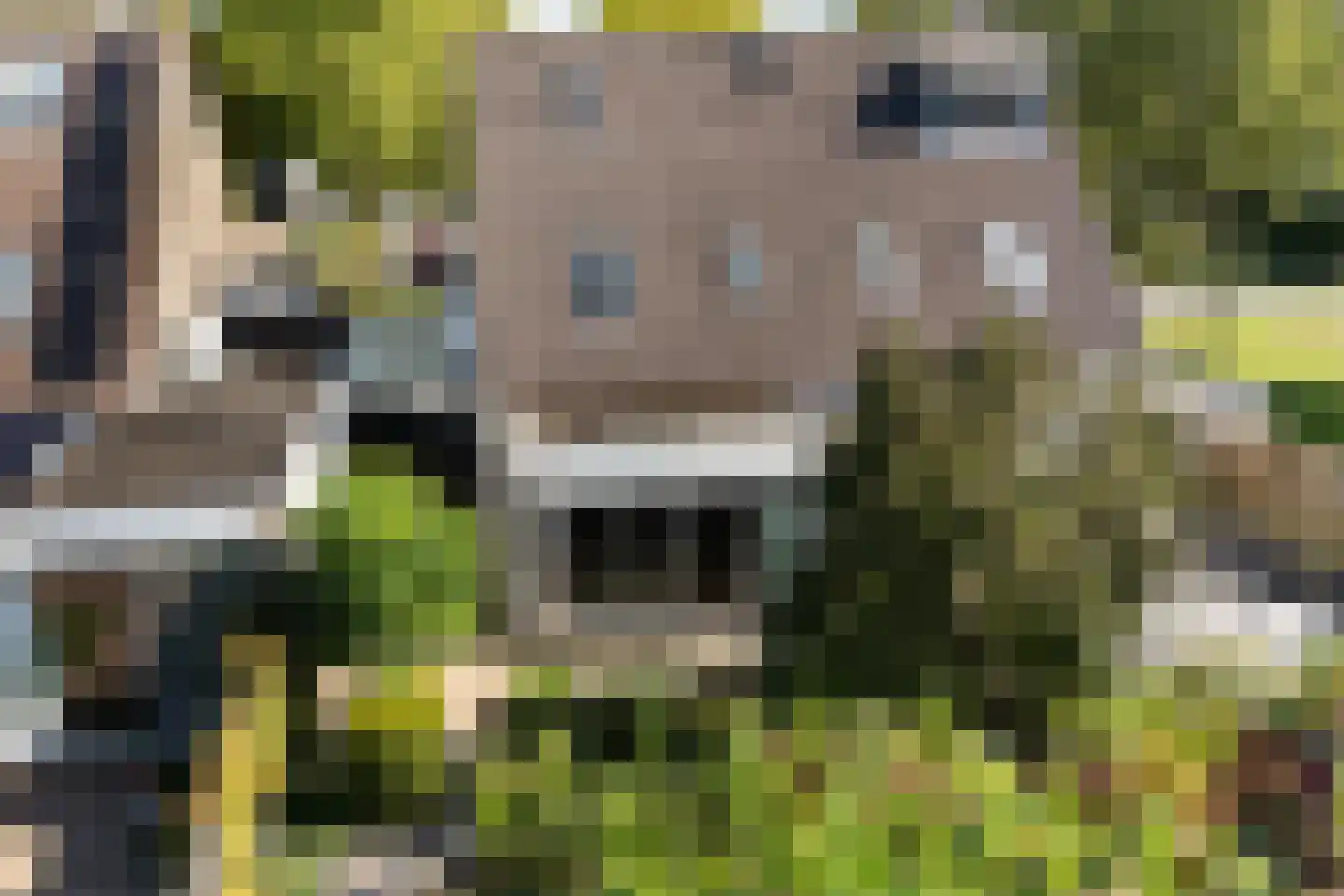 Vinkenveld 53 Emmen thumbnail 44