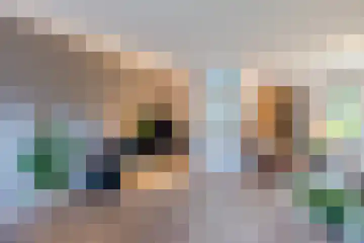 Vinkenweg 20 Wapenveld thumbnail 11