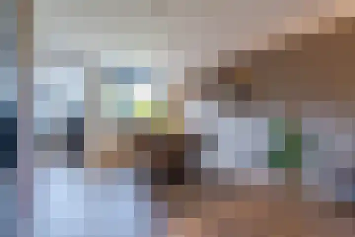 Vinkenweg 20 Wapenveld thumbnail 13