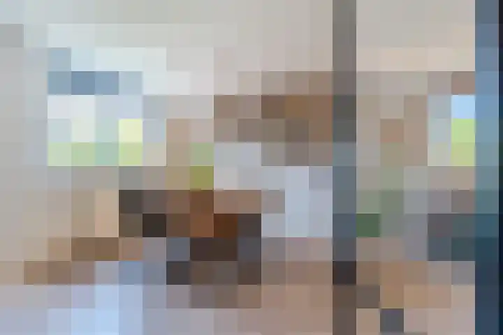 Vinkenweg 20 Wapenveld thumbnail 14