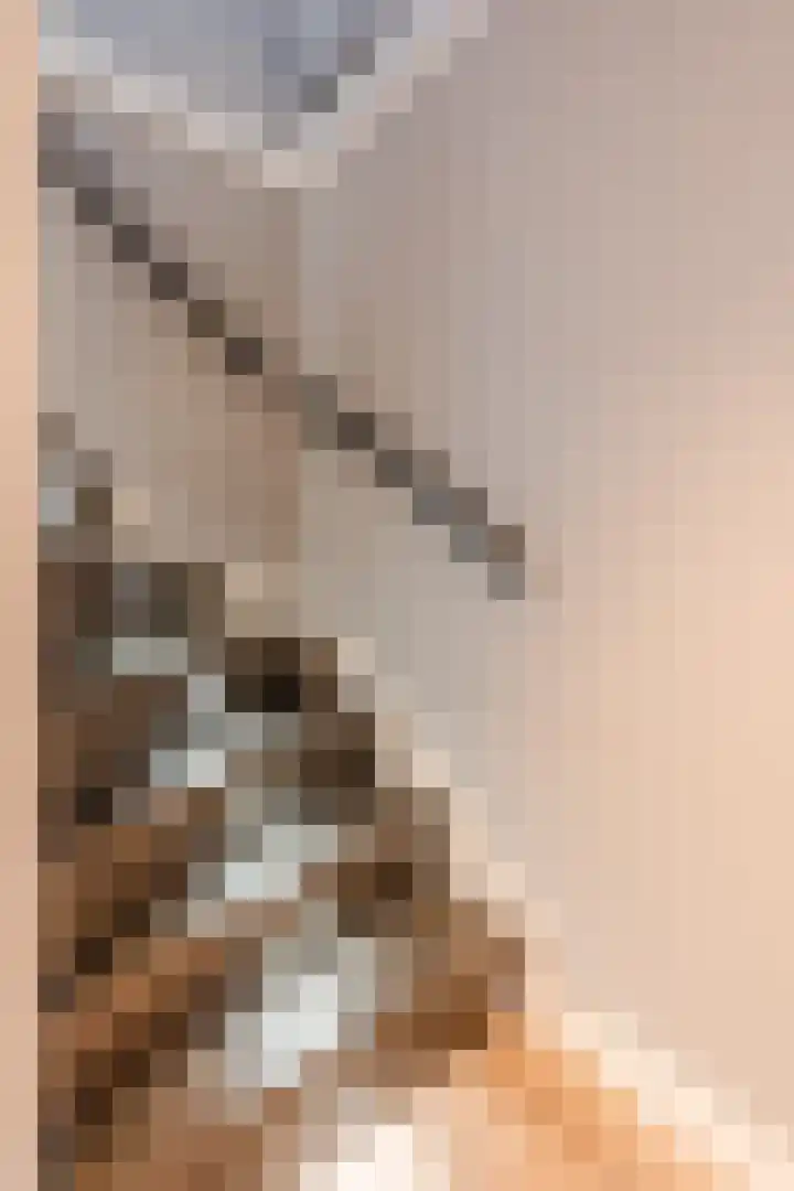 Vinkenweg 20 Wapenveld thumbnail 17