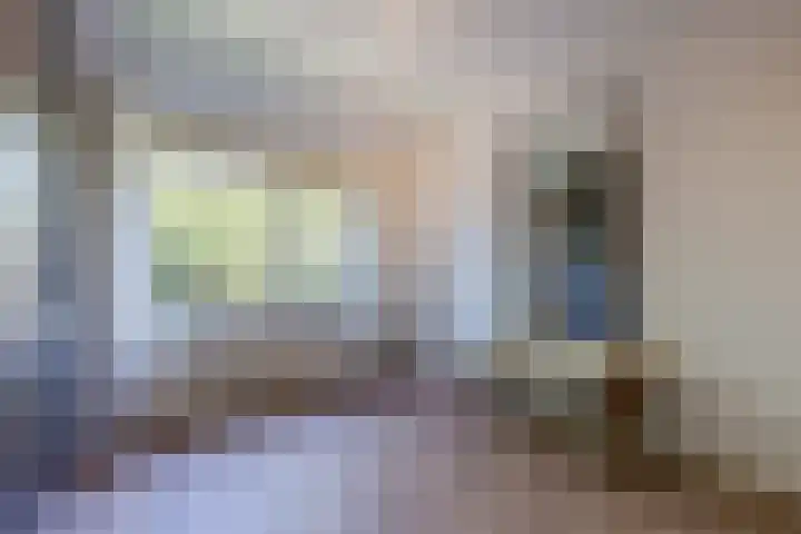 Vinkenweg 20 Wapenveld thumbnail 19