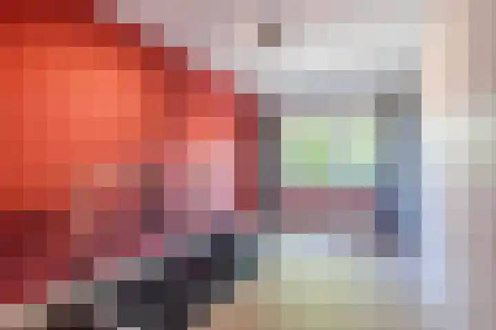 Vinkenweg 20 Wapenveld thumbnail 21