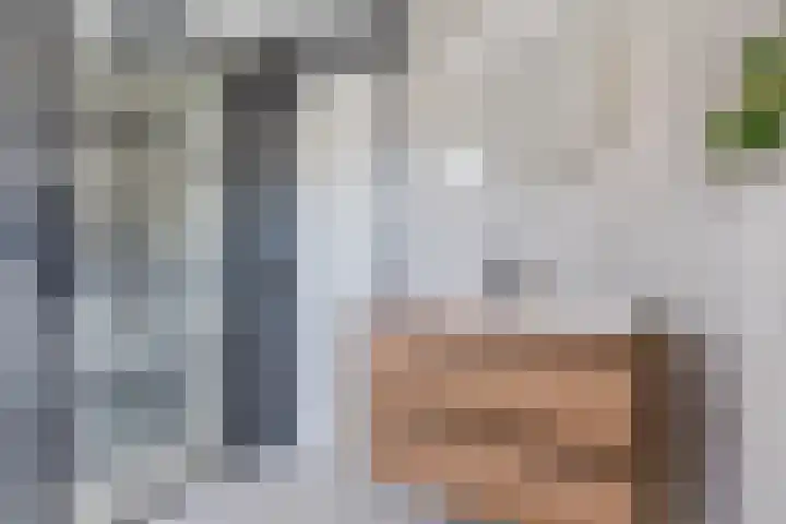 Vinkenweg 20 Wapenveld thumbnail 27