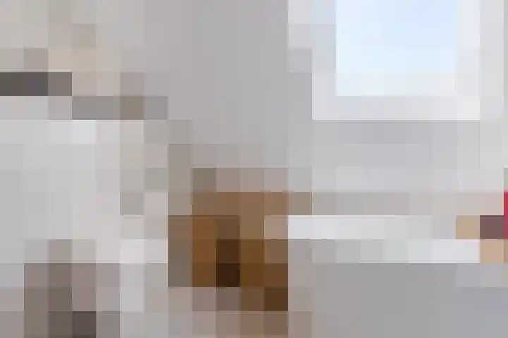 Vinkenweg 20 Wapenveld thumbnail 28